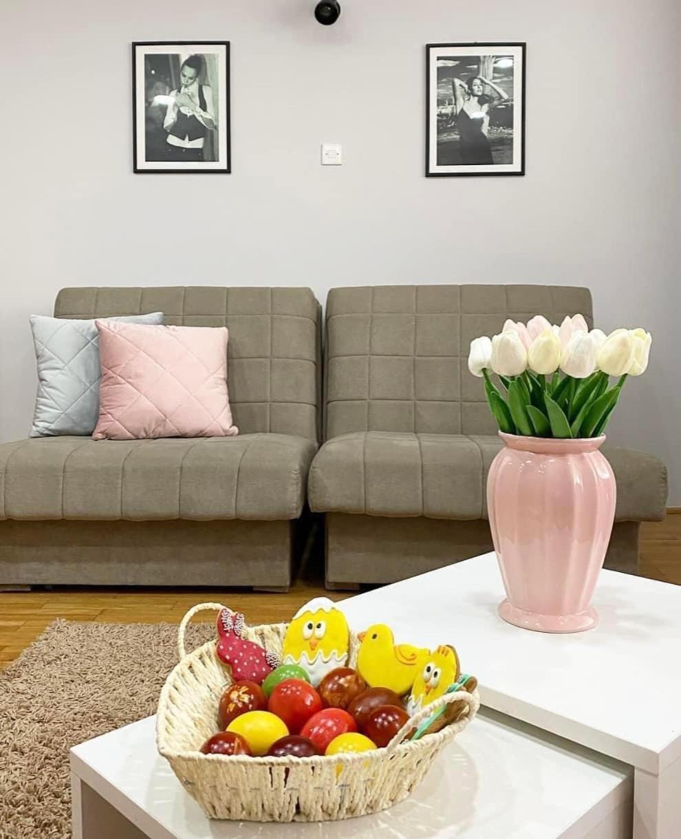 Apartment Aleksandra Bajina Basta Room photo